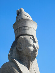 head of the Egyptian sphinx in petersburg against the sky