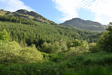 Rastplatz mit Bäumen und Berge im Tal Glen Croe, auf den Weg zum Rest an be thankful-Gebirgspass, Argyll, Schottland