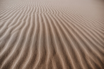 ripples in the desert sand
