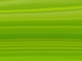 abstract fresh natural banana leave background