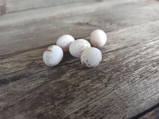 eggs shot on a wooden background - close-up