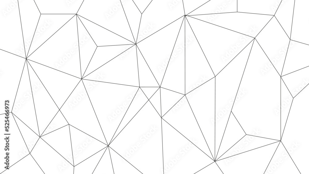 Fototapete Network polygon lines background template. Low poly linked graphic vector.