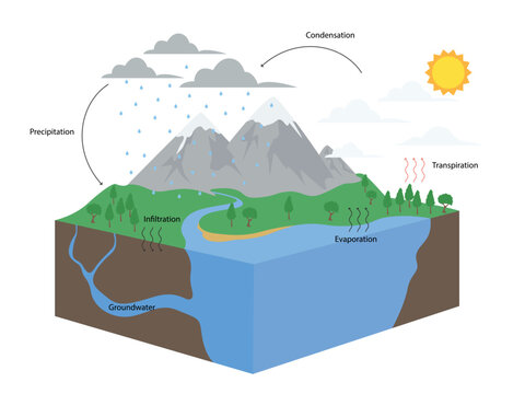 Diagram of Water Cycle in nature illustration