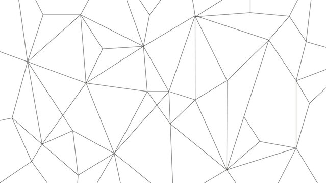 Network Polygon Lines Background Template. Low Poly Linked Graphic Vector.