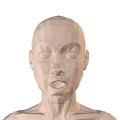 Low poly girl head isolated on white background. Surprised facial expression. Front view. 3D. Vector illustration.