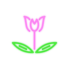 tulip neon icon