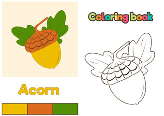 Acorn Coloring Book. Vector illustration of the outline of an acorn and leaves for children to color. Finished coloring book with yellow acorn. © Ksenia Grain
