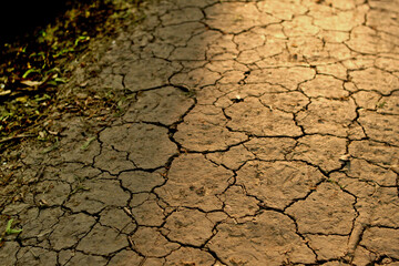 dry earth