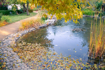 A pond in an autumn park with yellow fallen leaves and the first ice on the surface of the water. Beauty of nature.