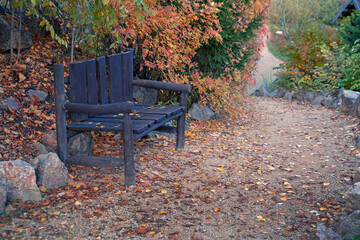 Secluded bench in the autumn park.