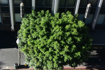 Aerial City Urban Buildings Skyline Daytime Clear  city streets below