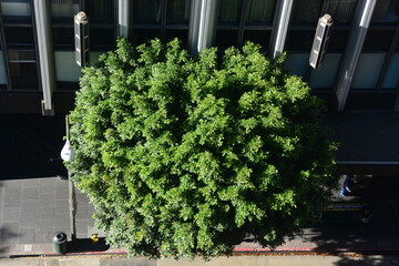 Aerial City Urban Buildings Skyline Daytime Clear  city streets below