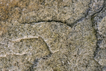Fototapeta premium Abstract stone texture. Background for design purpose. Rough surface.