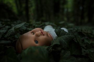 Close up dark scene of scary child doll in deep woods growth by ivy everywhere just before night....