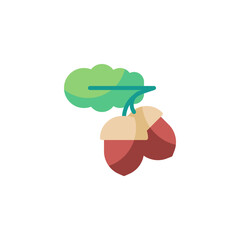 Acorn with leaf flat icon