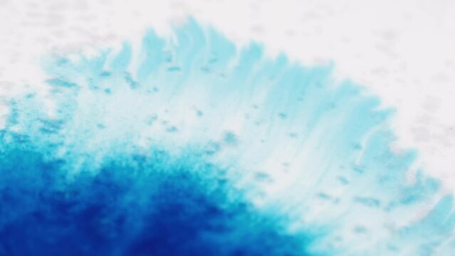 Ink drop spatter. Stain paper texture. Watercolor blot. Transition effect. Defocused blue color fluid splash motion on white surface abstract copy space background.
