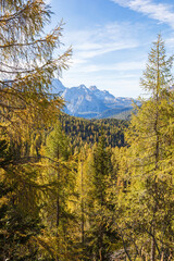 Scenic mountain view with larch trees in autumn colors