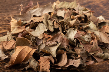 ［沖縄県産］　グアバ茶　茶葉