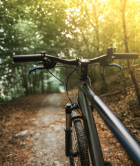 Naklejka na ściany i meble First-person view cycling in the forest. Close-up of a mountain bike handlebar. Summertime outdoor leisure sport activity concept.