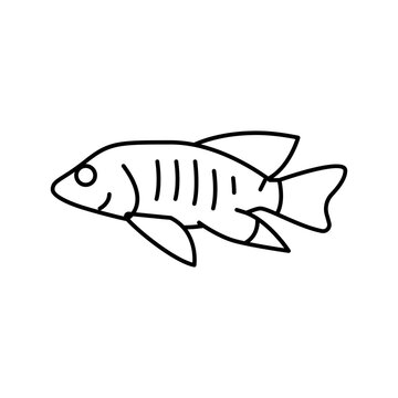 recommend clip art: african cichlids line icon vector illustration