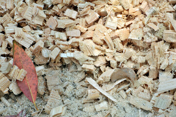 Sawdust on wooden table 