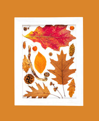 autumn composition of dry leaves in a white picture frame isolated on an orange background top view