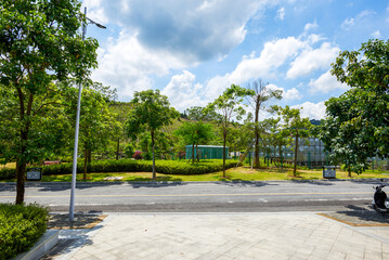 Naklejka premium Driveway and plants in an outdoor park