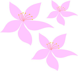 Fototapeta na wymiar Flower Clip Art SVG, Colorful Botanical Floral Illustration, Leaf, Artwork, Background
