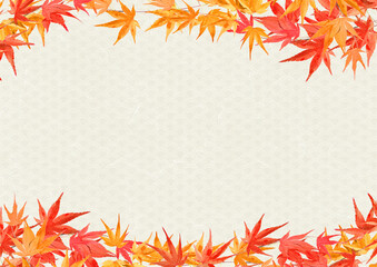 秋の色づいた紅葉　落ち葉のフレーム背景テクスチャ