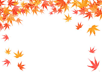 秋の色づいた紅葉　落ち葉のフレーム背景テクスチャ