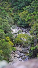 Fototapeta na wymiar Beautiful Bogyeongsa valley scenery in Korea