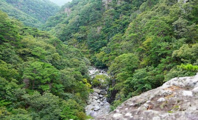 Naklejka premium Beautiful Bogyeongsa valley scenery in Korea