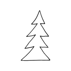 spruce hand drawn in doodle style. simple