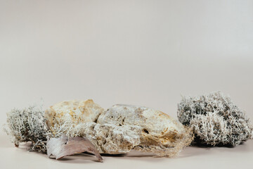 Podium for goods and cosmetics made of natural materials.