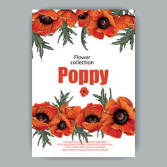 card with hand drawn poppies