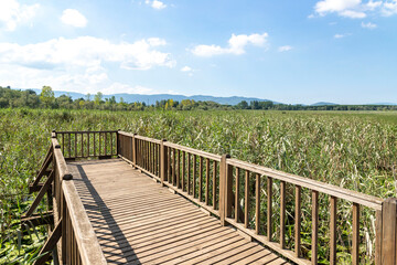 Duzce, Turkey- Ausugust 2022; A pleasant trip to Efteni lake. Efteni lake is quite a visit to the stream. 