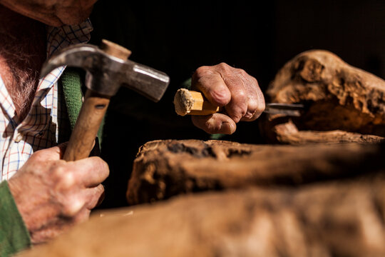 Crop carpenter working with wood