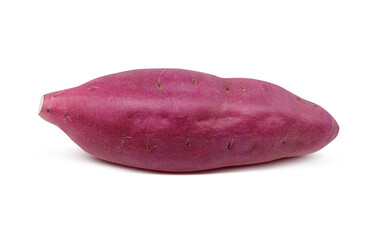 さつまいも サツマイモ イラスト リアル 