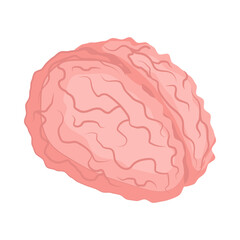 Brain Isometric Illustration