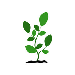 Tree growing in soil. Plant From Soil. Fresh organic tree garden plant