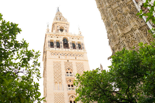 From below of Giralda tower of historic cathedral in Seville