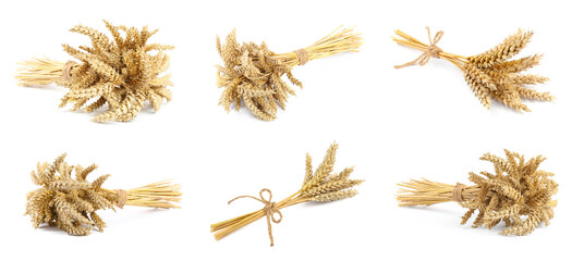 Set with dried ears of wheat on white background. Banner design