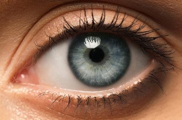Closeup view of woman with beautiful eye