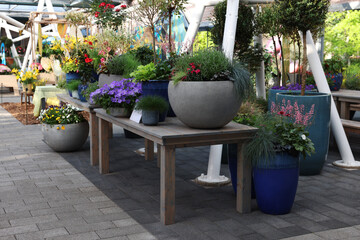 Many different potted flowers on wooden tables outdoors