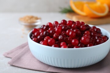Fresh ripe cranberries in bowl on light table, closeup