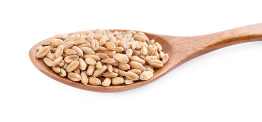 Wooden spoon with wheat grains isolated on white