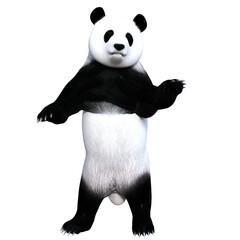 panda 3d illustration 