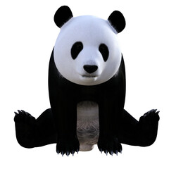 3d Fun panda