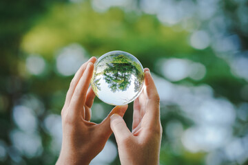 hands holding transparent glass ball or  crystal who reflects trees of a forest outside in green nature sphere symbolizing save the earth or planet
