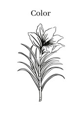 High Resolution Printable Colouring Worksheets for Kindergarten and Preschool Kids, Drawing Practise A4 Printable Designs.